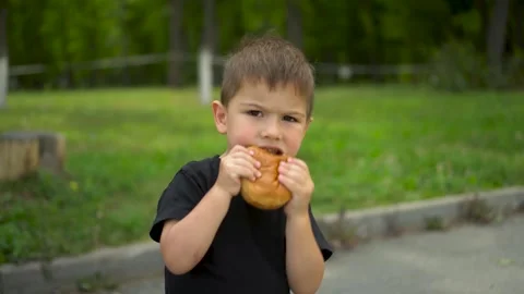 Little boy eats cheeseburger in park and looks at camera portrait shot 4k Stock Footage 322518333
