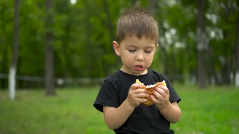 Little boy eats cheeseburger in park and looks at camera portrait shot 4k Stock Footage 322518473