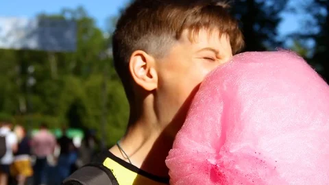 Little boy eats cotton candy at an amusement park. Video stock 117939696