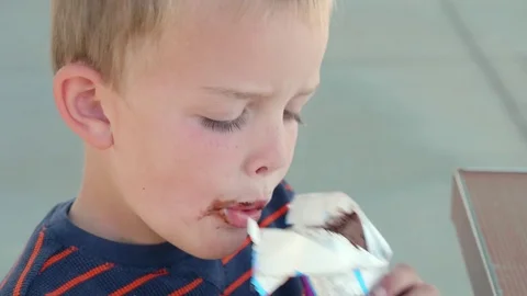 A little boy eats an ice cream sandwich at a park Stock Footage 84841839
