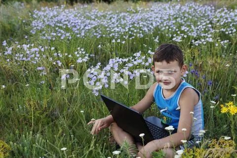 Little Boy Enjoys A Laptop On Nature