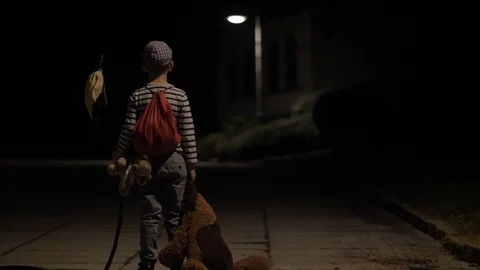 Little boy exploring Stock Footage 118109436