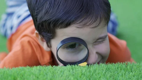 Little boy exploring Vidéo 263899431