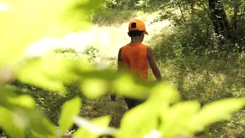 Little boy exploring nature alone on a sunny day in a lush forest Vidéo 287032418