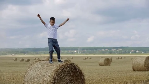 Little Boy In Field Stock Footage