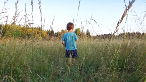 Little boy in a field Stock Footage 91627254