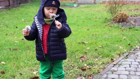 Little boy Stock Footage 164579723