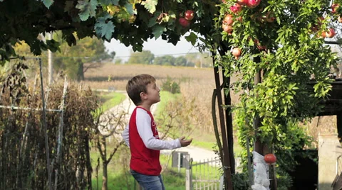 Little boy with fruit in hand Stock Footage 32960277