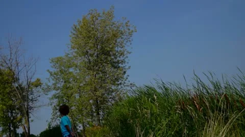 Little Boy In A Grassy Pond Stock Footage 11525879