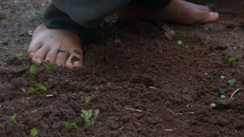 A little boy hands playing in the dirt Stock Footage 316923380