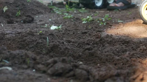 A little boy hands playing in the dirt Stock Footage 316923437