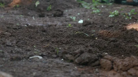 A little boy hands playing in the dirt Stock Footage 316923448