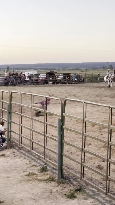 Little Boy Hangs on Tight During Mutton Bustin' Rodeo Event, Wyoming, USA - 08 J Stock-Footage 333148140