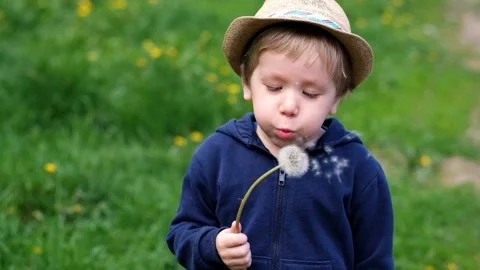 Little boy in a hat blowing dandelion in the park 스톡 동영상 89863899