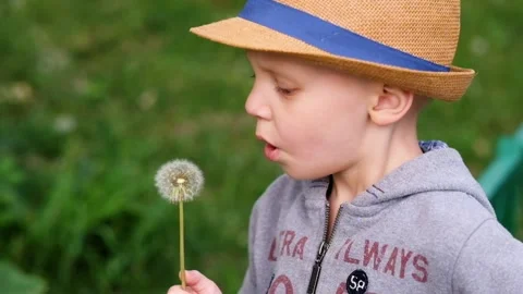 Little boy in a hat blowing dandelion in the park 스톡 동영상 89869043