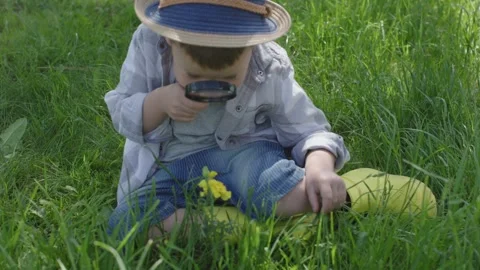 Little boy in hat sits on grass holds magnifying glass explores yellow flower Stock Footage 242604334