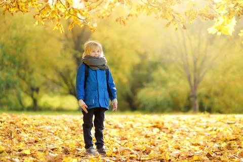 Little boy having fun during stroll in the forest at sunny autumn day. Stock Photos