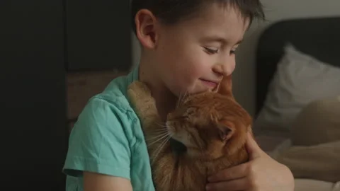 Little boy having fun with his kitten sitting on the bed, cat licking his face Stock Footage 236951114
