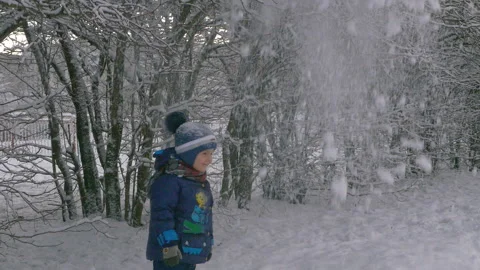 Little boy having fun under snow falling from trees in winter slow motion Stock Footage 96410873
