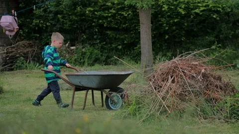 A little boy helps remove dry branches on a wheelbarrow Stock-Footage 221555304