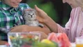 Little boy holding pretty adopted kitten, showing to grandmother, new home HD Footage