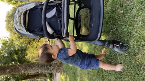 Little boy holding stroller while standing outdoors on grass. Stock Footage 254536167