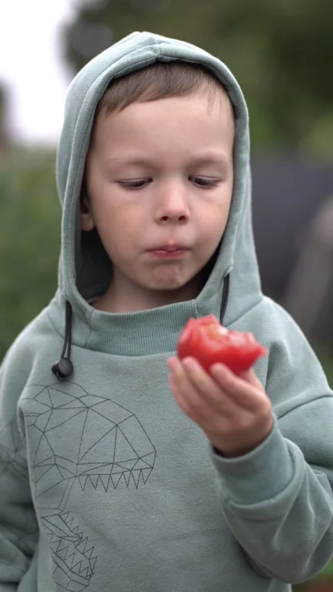Little boy in hoodie eats fresh red tomato in the countryside garden Video stock 342347123