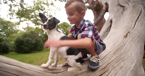 Little boy hugging and stroking his pupp... | Stock Video | Pond5