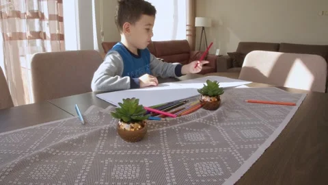 Little Boy, Kid Drawing Stock Footage 149452566