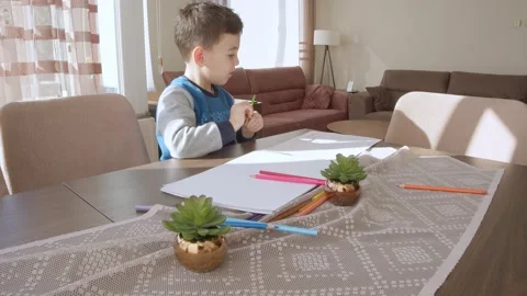 Little Boy, Kid Drawing Stock Footage 149461277