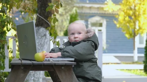 Little boy with laptop in the garden Stock Footage 200825053