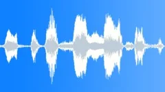 Little Boy Laugh (9)Sound Effect