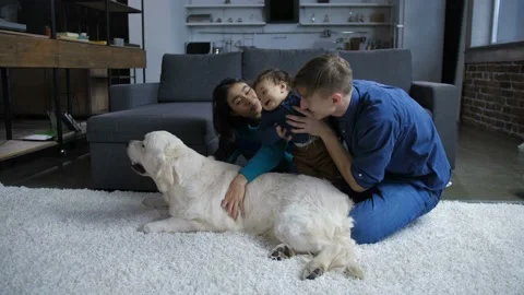 Little boy learning to communicate with dog Video stock 103179509