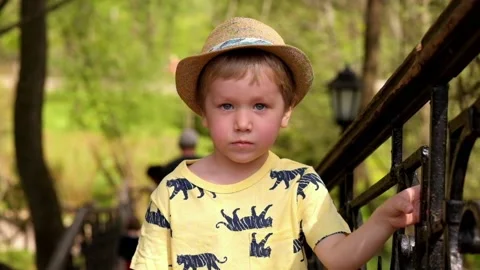 Little boy looking at the camera and smiling, outdoors Stock Footage 89469612