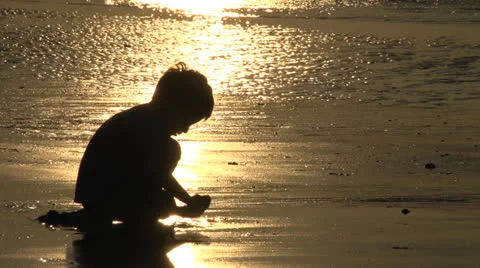 Little boy looking for seashells silhouetted Stock Footage 26949396