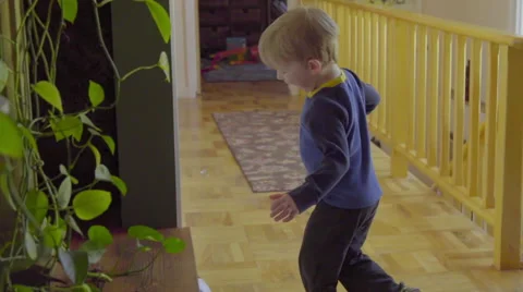 Little boy looks at the camera Stock Footage 64363866