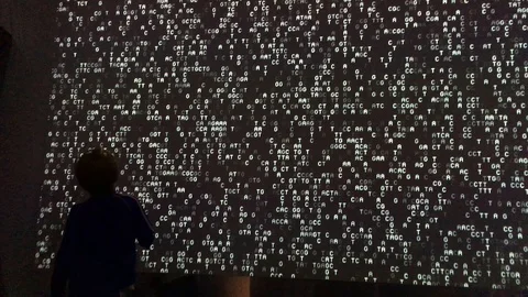 Little boy looks at data flow display at AI: 'More than Human' exhibition, Stock Footage 114872129