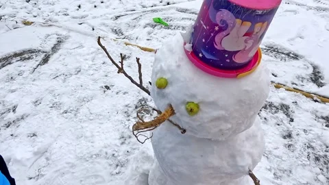 A little boy makes a snowman. Inserts a snowman's nose Stock Footage 226733473