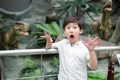 Little boy making a face Stock Photos