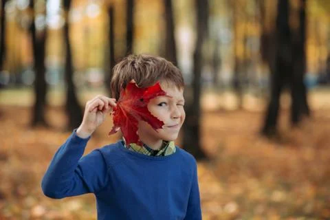 A little boy with maple leaf Stock Photos