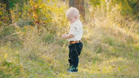 Little boy in the nature Stock Footage 81458309