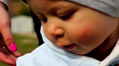 Little boy  in the park Stock Footage 62953352