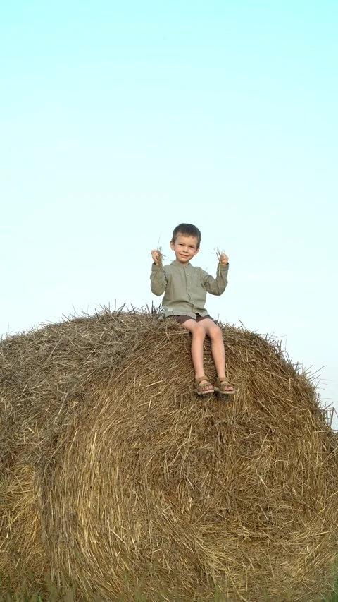 Little boy perched on a golden haystack in the countryside Stock-Footage 342966538