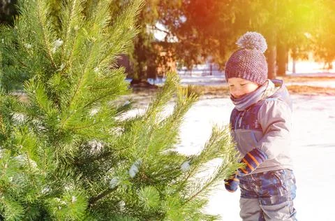 Little boy Stock Photos