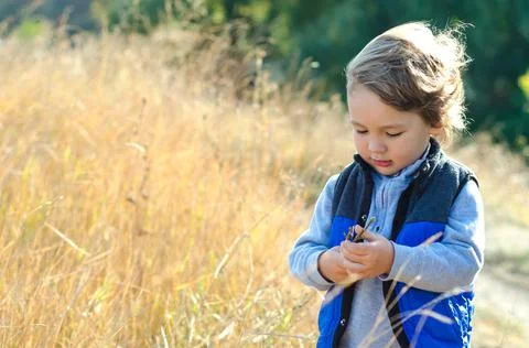 Little boy Stock Photos
