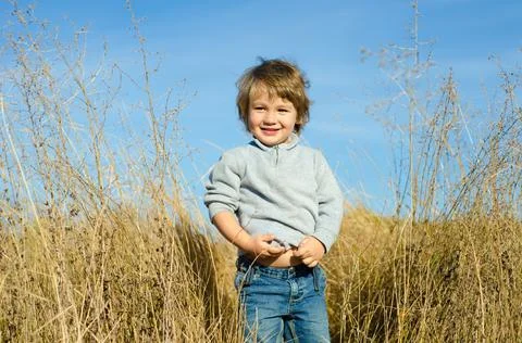 Little boy Stock Photos