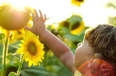 Little boy Stock Photos