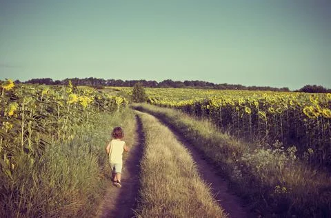 Little boy Stock Photos