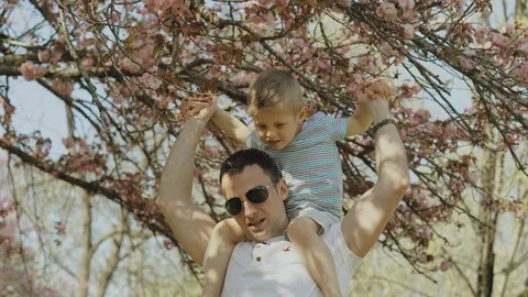 Little boy playing and having fun with his father in a park on a sunny day Stock-Footage 123310037