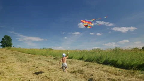 Little boy playing colorful kite Vidéo 157448811